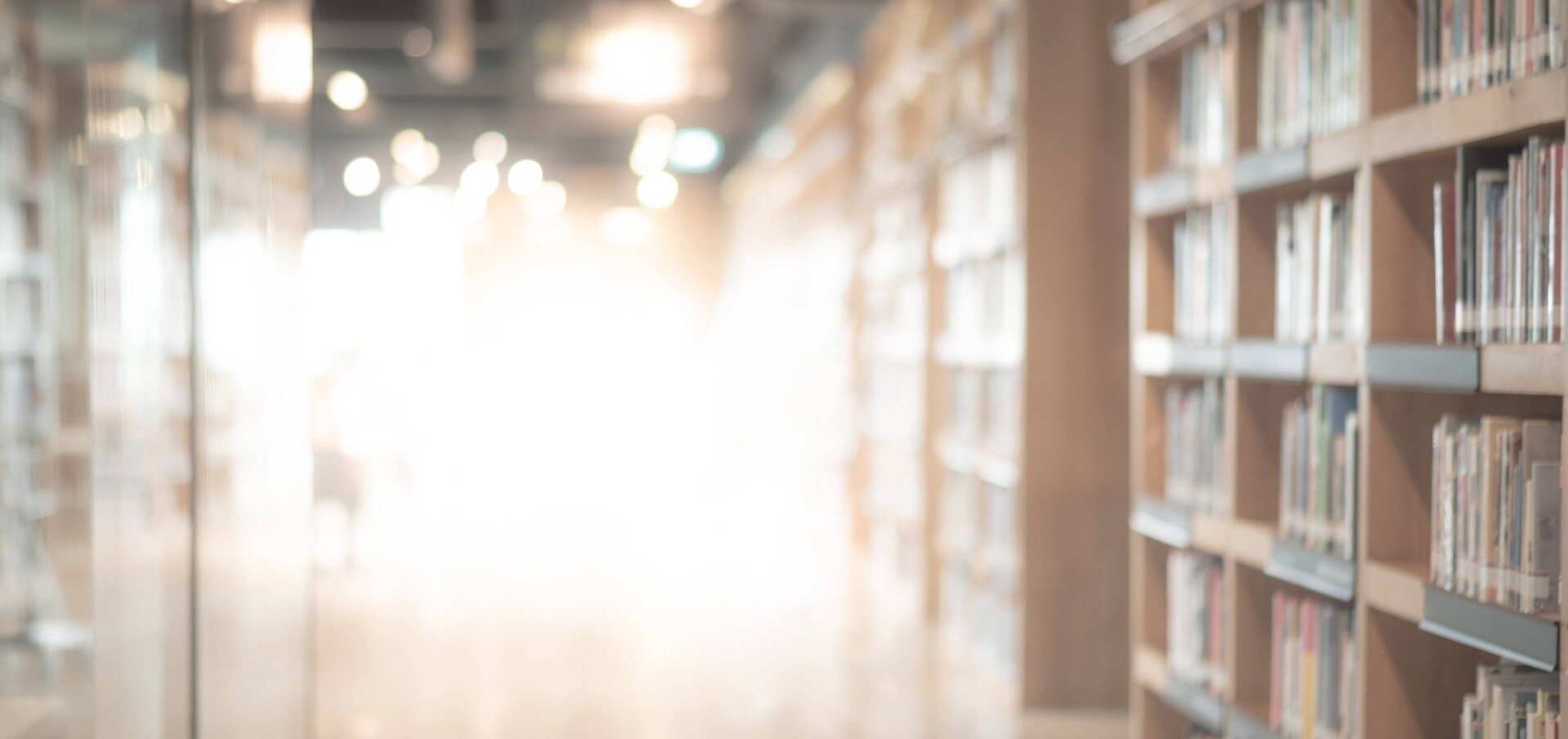 Bücherregal voller Bücher in einer Bibliothek