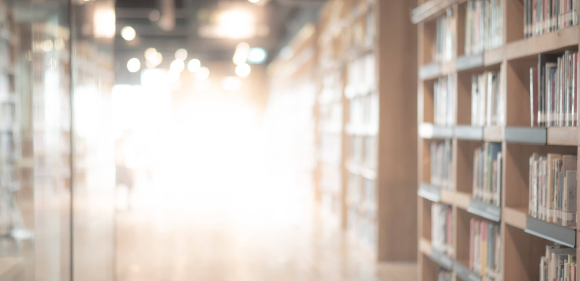 Bücherregal voller Bücher in einer Bibliothek